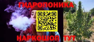 скорость Рыбинск