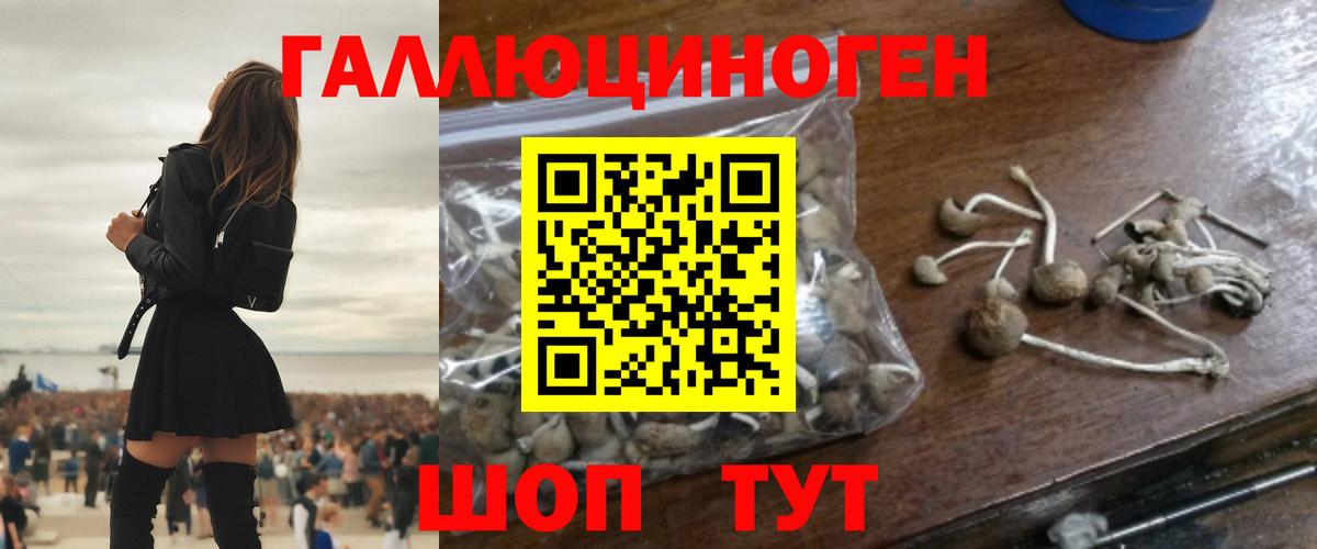 Чайковский  цена   Вход с VPN  Галлюциногенные грибы мицелий  Галлюциногенные грибы ЛСД 