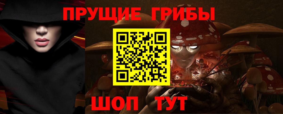 Галлюциногенные грибы Cubensis Чайковский